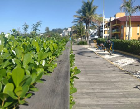 IMG_20230706_122608958_MF_PORTRAIT